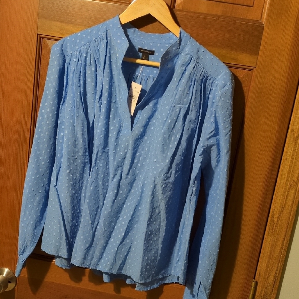 Ann Taylor Popover Blouse - Small Tall